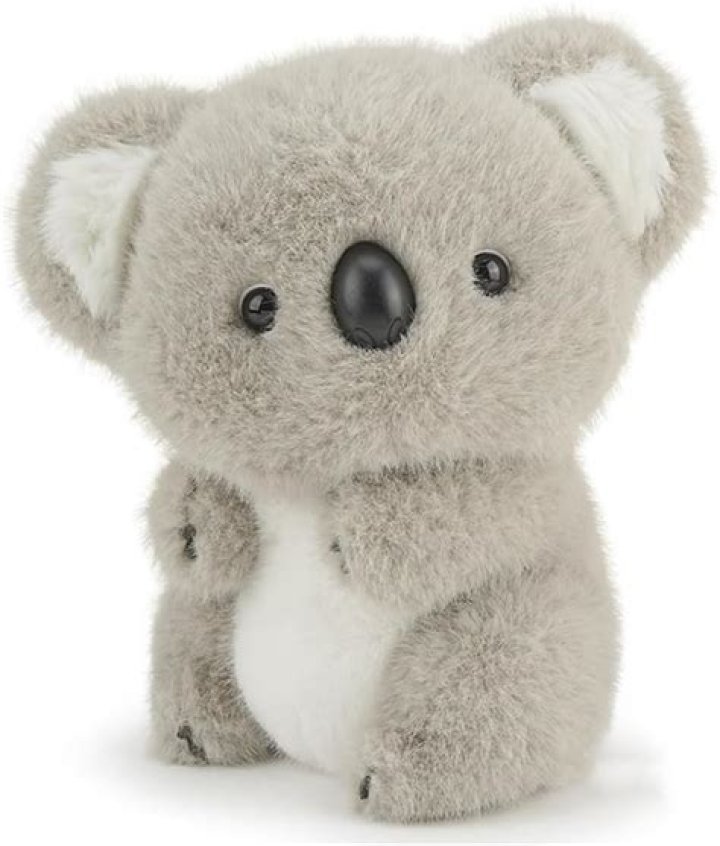 Dream Koala’s Girlfriend: Who is Dream Koala Dating?