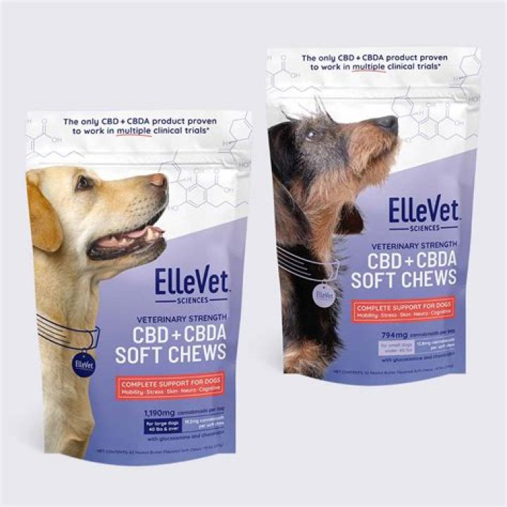 Six Incredible Benefits of CBD Dog Treats